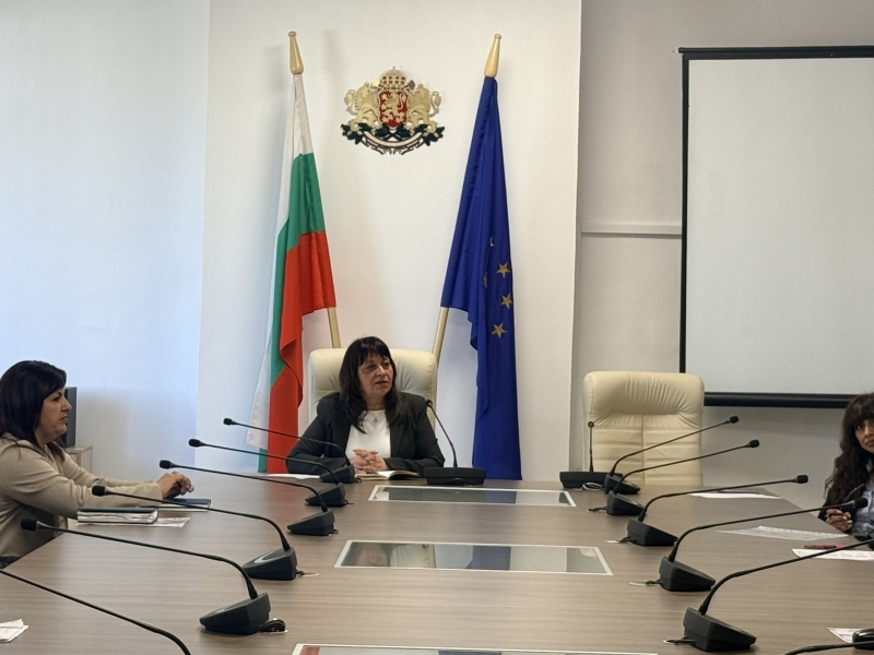 ЗАМЕСТНИК ОБЛАСТНИЯТ УПРАВИТЕЛ МАРИЕЛА РАШЕВА РЪКОВОДИ ЗАСЕДАНИЕ НА ОБЛАСТНИЯ СЪВЕТ ЗА ХОРА С УВРЕЖДАНИЯ ВЪВ ВРАЦА