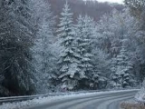 ОБСТАНОВКА В ОБЛАСТ ВРАЦА – 18 ЯНУАРИ 2016 ГОДИНА