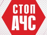 УДЪЛЖАВА СЕ СРОКЪТ ЗА ГРУПОВО ЛОВУВАНЕ НА ДИВА СВИНЯ ДО КРАЯ НА ЯНУАРИ